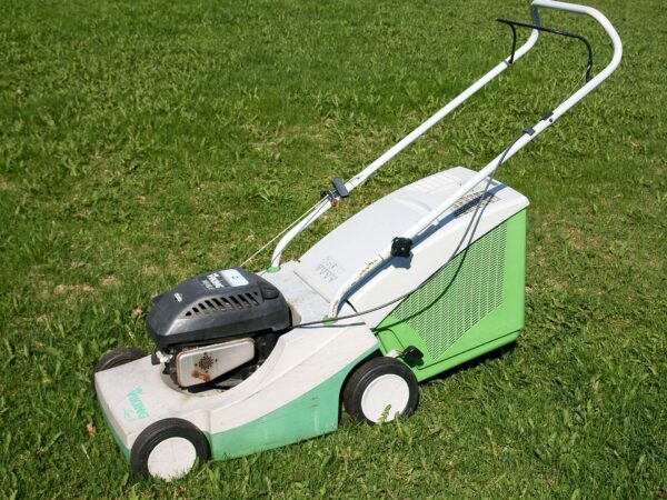 Stihl RMA 339 C Cordless Lawn Mower (Rental)
