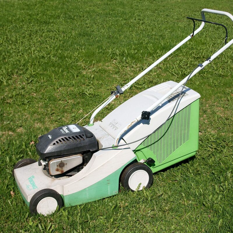 Stihl RMA 339 C Cordless Lawn Mower (Rental)